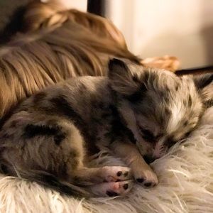 Meet your Posher, Kiyomi